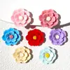 Acessórios de Resina Flor de Pessegueiro Jasmim Tridimensional de Camada Dupla DIY Cola de Chantilly Capa de Celular Presilha de Cabelo Copo de Água Ímã de Geladeira Acessórios