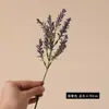 Cuentas de Espuma de Venta Caliente Transfronterizas, Accesorios Decorativos Especiales para Fondos Simulados, Decoraciones para Bodas y Hogar, Accesorios para Fotografía
