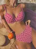 Nuevo Traje de Baño Sexy para Mujer, Bikini para Aguas Termales, Playa Amazon, Ropa de Baño Europea y Americana, Estampado Azul Rosa Rojo