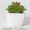 Suculentas Simuladas Personalizadas Cerámica Bonsái Plantas Verdes Escandinavas Adornos Hogar Interior Sala de Estar Flores Falsas Suculentas Plantas en Maceta