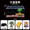 Terrario de Acrílico para Reptiles, Caja de Cría para Geckos, Lagartos, Ranas Cornudas Arbóreas, Arañas, Paisajismo Desértico, Tanque Anfibio
