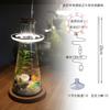 Luz LED para Acuario en Forma de Anillo de Ángel, Luz USB de Espectro Completo para Plantas Acuáticas, Forma de Anillo de Ángel de Espectro Completo