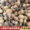 [barato] falha natural texto brincadeira cabaça pele roxa boca de Tianjin ao redor do dedo macio pequeno cabo de cabaça fabricantes atacado