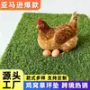 Cojín de Pollo Césped Artificial Transfronterizo 12 pulgadas Esterilla de Césped para Gallinero Esterilla de Nido para Gallinero Césped Artificial