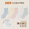 Calcetines para Niños Grado 10A Antibacterianos Color Sólido Sin Costuras de Algodón Calcetines de Encaje Dulce para Niñas Hasta la Pantorrilla Calcetines de Color Caramelo