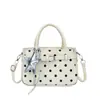 Bolso Cesta de Lunares Diseño de Nicho Pequeño Nuevo Estilo Otoño/Invierno 2026 Bolso Pequeño para el Trabajo Bolso de Mano de Alta Calidad