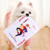 Juguete para perro frito King periódico para gato papel que suena cartas de juego QK mascota voz suministros para perro gato al por mayor