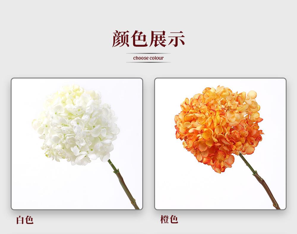 124.希腊绣球大枝_03.jpg