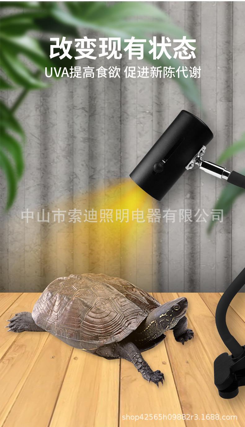 乌龟灯-(2)_05.jpg