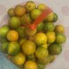 Bolsa de malla para frutas, bolsa de malla pequeña de plástico, embalaje promocional para supermercado, almacenamiento de jengibre y ajo, bolsa de malla portátil