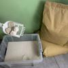 Areia de Mandioca para Gatos Big Bag 10,00kg e Casa para Gatos Acessível Pet Shop Família com Vários Gatos Desodorizante Sem Pó Areia de Mandioca para Gatos Areia para Gatos de Planta