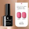 Manicura Cat Eye Glue 2024 Nuevo Set de Pegamento para Esmalte de Uñas Tienda Especial de Nail Art Pegamento de Fototerapia Color Popular de Celebridad de Internet Set Pequeño
