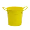 Cubo Metálico Mini Color Caramelo Cubo Pequeño de Metal Portalápices de Escritorio Cubo Decorativo de Almacenamiento Maceta Pequeña para Planta Suculenta