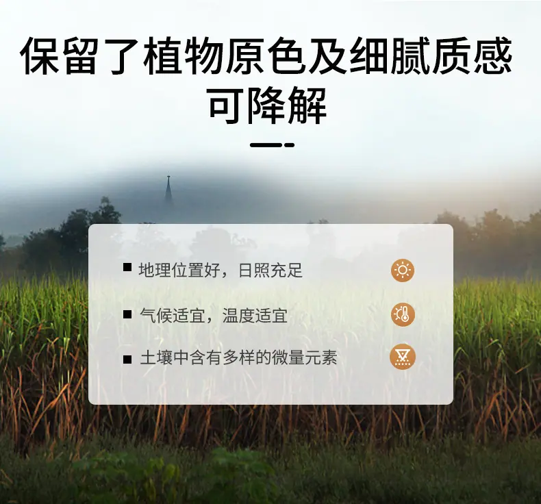 育苗杯_02.png
