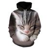 Suéter pulóver con estampado de gato 3D, sudadera con capucha de moda para niñas, adolescentes, niños, otoño, nuevo, casual, con capucha