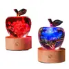 Lámpara de Noche de Manzana de Resina Transparente Artesanía de Cristal Adornos Creativos de Carga Regalo Resina Incrustada con Flores Eternas