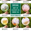 Materiales para Abanico DIY de Flores Eternas, Abanicos Pequeños en Blanco para Niños, Actividad de Taller del Día del Niño, Abanicos Artesanales de Flores Secas