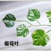 Decoración Colgante de Pared de Ratán de Planta Verde Simulada Vid de Plástico Techo Ratán de Hoja Verde Decorativo de Alta Simulación