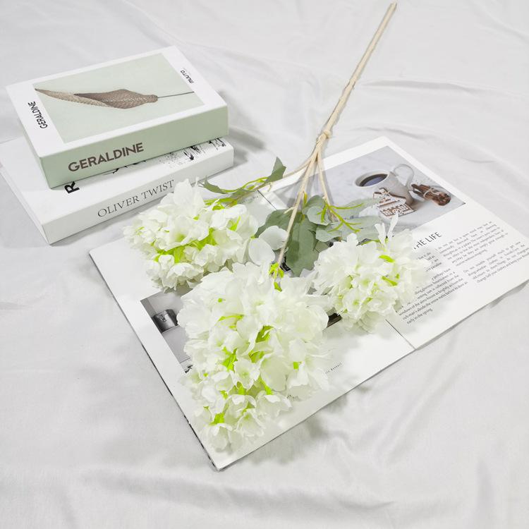 IMG_20220224_152937_副本