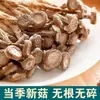 Hongos Secos de Astas de Ciervo, Piezas Grandes, Sin Fragmentos, Sin Humo de Azufre, Hongos Crujientes para Salteados y Sopas, Especialidad de la Granja Hongos de Astas de Ciervo al por Mayor
