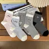Calcetines de Primavera y Otoño para Mujer, Calcetines de Media Pantorrilla, Versátiles de Estilo Ins de Moda, Calcetines Holgados Rayados Bordados de Perro Dachshund, Estilo Universitario con Bloques de Color, Estilo Coreano