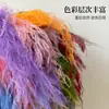 Hierba Barba de Dragón Eterna, Hierba de Junco, Flores Reales, Venta al por Mayor Fabricante de Yunnan, Serie Fuegos Artificiales de Ensueño, Materiales Florales para Cortinas de Boda, Decoración Suave
