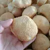 Cogumelos Secos Hericium Erinaceus, Delicadezas da Montanha de Yunnan, 500g, Podem Ser Moídos em Pó, Nutrem o Estômago e Podem Ser Usados como Ingredientes para Sopa, Adequado para Uso Doméstico