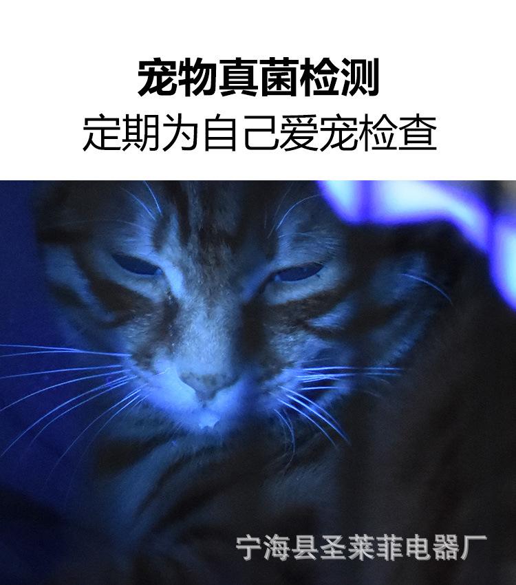 1_06.jpg
