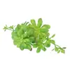 Mini Planta Suculenta Artificial Única Suculenta Falsa Flor Artificial Adorno de Micro Paisaje Oficina Planta Verde Real Artificial Alto