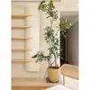 Planta Verde Grande en una Maceta de Madera de Pata de Pato, Adecuada para Sala de Estar y Oficina, Fácil de Cuidar en Todas las Estaciones, También Adecuada para Dormitorio