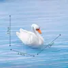 Microadornos paisajísticos DIY decoración carnosa 2 pares de adornos de animales cisne blanco y negro bonsái creativos adornos pequeños de plástico