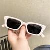 Óculos de Sol Cat-Eye Tartaruga, Proteção Solar, Proteção UV, Óculos Tendência Estilo de Rua, Óculos de Sol Armação Pequena Estilo Americano Hot Girl