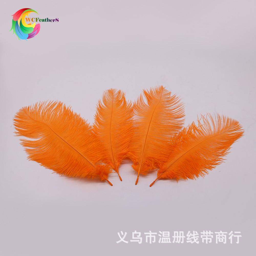 3 orange ostrich feather 6