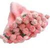 Manta de Peluche con Gradiente de Rosas Paquete de Materiales DIY Tejida a Mano Manta de Ramo Regalo