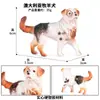 Modelos de Animales Realistas: Doberman, Golden Retriever, Perro de Peluche, Husky, Collie - Adornos para Coche y Juguetes para Niños