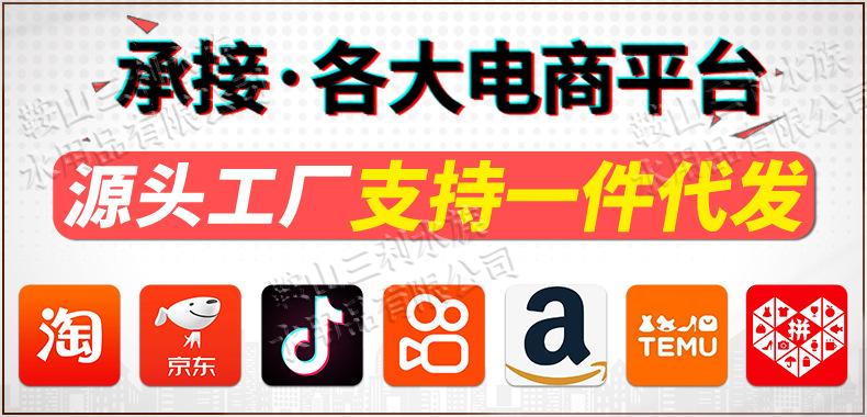 未标题-1.jpg