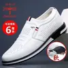 Zapatos de cuero blanco para hombre marca Dragonfly, de verano, con diseño calado, de negocios, alta gama, casual, transpirables, que aumentan la altura