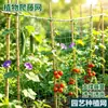 Malla trepadora para plantas de jardinería transfronteriza, malla trepadora para frutas y verduras, malla de plantación para flores y plantas, malla de jardín
