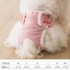 Pantalones fisiológicos para perro perra pequeño oso de peluche pantalones menstruales que oso grande tía toalla sanitaria femenina pantalones menstruales para mascotas