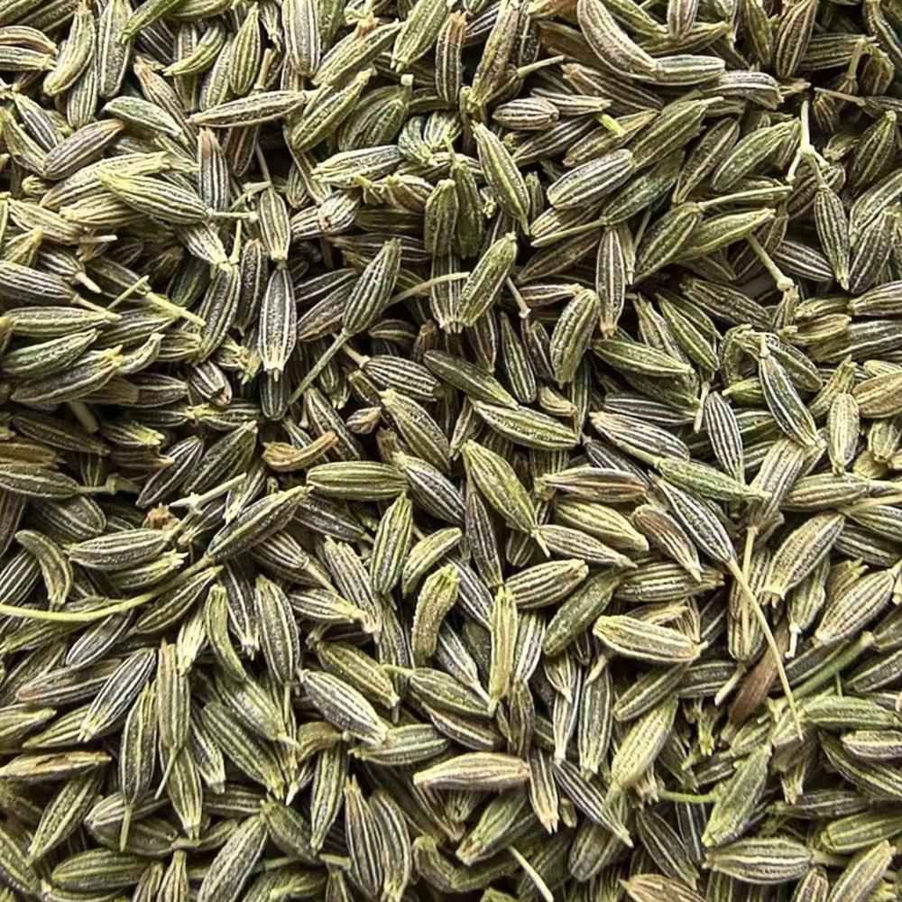 微信图片_20240608114859_1