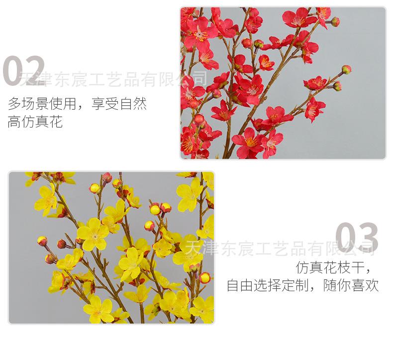 详情_09.png