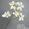 Ramo de Flores Artificiales Orquídea Llama de 5 Cabezas Decoración de Escena de Boda Material DIY Adorno de Decoración de Paisajismo Flor Artificial Venta al por Mayor
