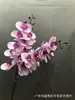 Simulação de Orquídea Phalaenopsis Japonesa de Nove Flores com Fita Adesiva Comércio Exterior Flor Artificial Falsa Decoração de Arranjo de Flores para Sala de Estar Quarto Modelo