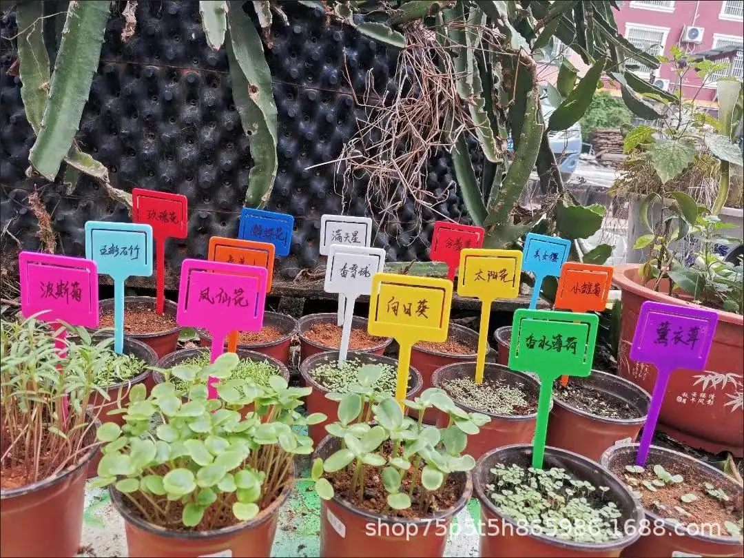 植物插杆4.jpg