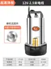 Bomba sumergible CC 12V24V48V60V Volt coche de batería bomba de agua pequeña bomba de agua de coche eléctrico bomba de agua agrícola