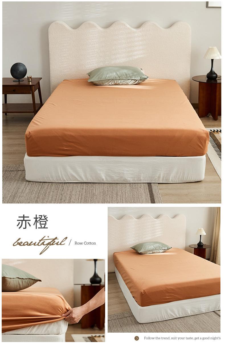 赤橙.jpg