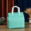 Bolsa aislante para llevar, personalizada, de aluminio no tejido, para embalaje, comida rápida, desechable, leche, té, catering, laminada.