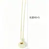Collar con Bolsita Brillante Pequeña para Mujer, Exquisito y Elegante, Incrustado con Circonita, Cadena para Clavícula Cielo Estrellado, Colgante de Lujo Ligero de Nicho de Gama Alta