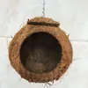 Casca de coco de grande diâmetro 14 a 16,5 cm Gaiola para pássaros ninho de pássaro ninho de reprodução quente (sem postagem)
