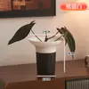 Maceta de Plástico Acampanada para Sala de Estar, Escritorio Sencillo con Anturio Rojo y Planta Verde Árbol del Dinero, Maceta de Falenopsis